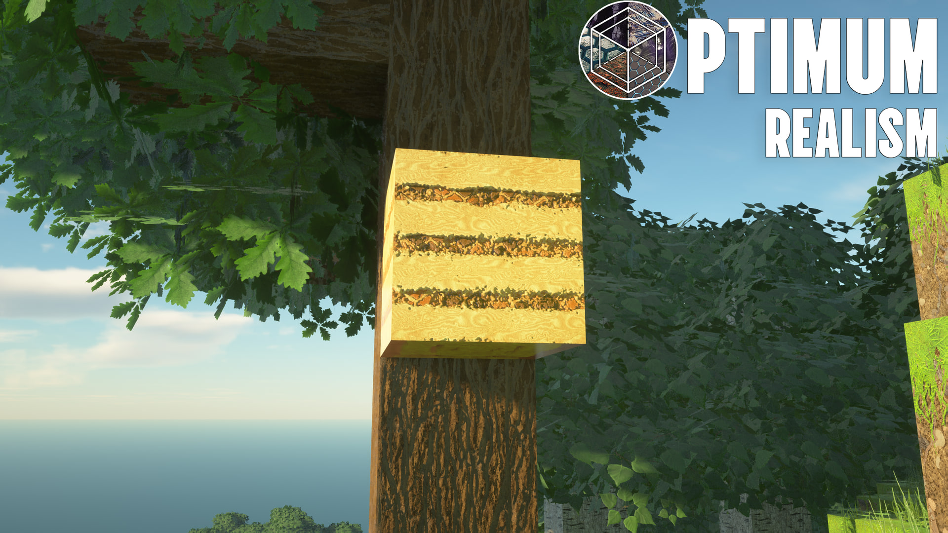 Realistic bee nest texture in Minecraft with Optimum Realism