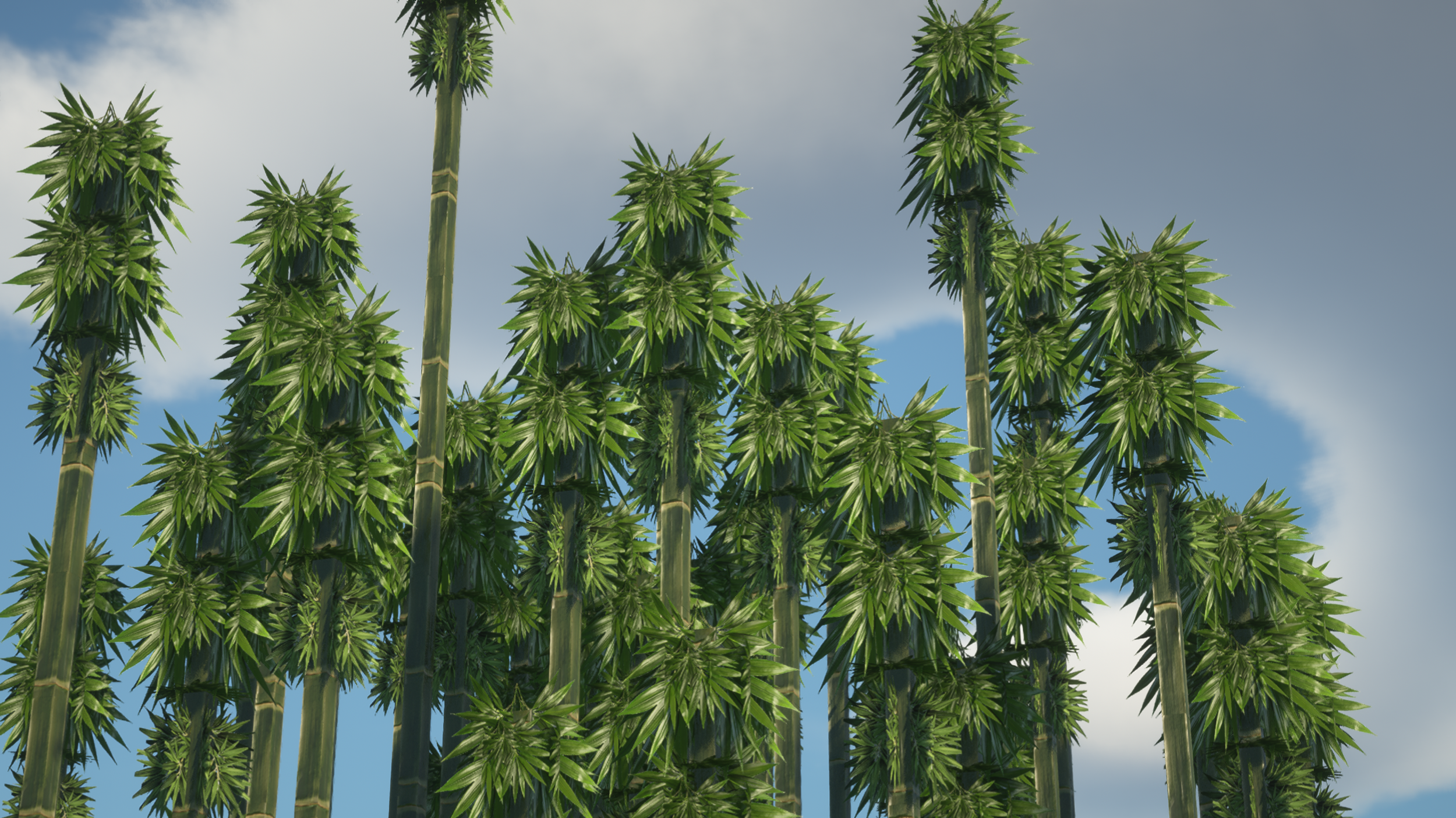 Bamboo forest in Optimum Realism
